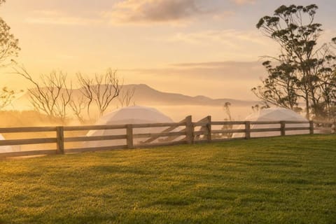 Natural landscape, Lake view, Sunrise