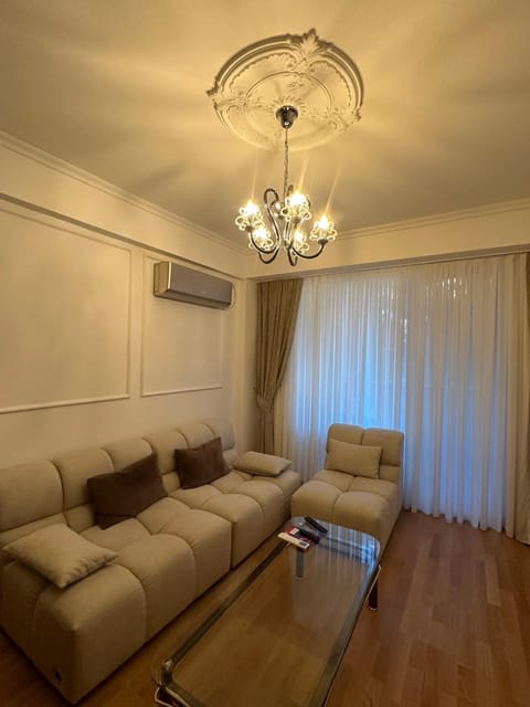 Living room, Seating area, air conditioner