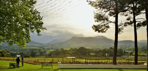 Natural landscape, View (from property/room), Mountain view