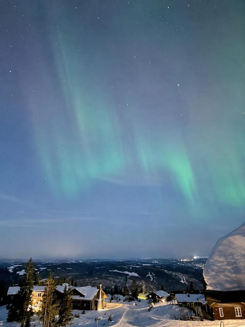 Night, Natural landscape
