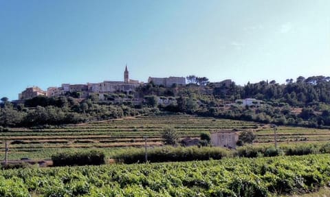 Nearby landmark, City view