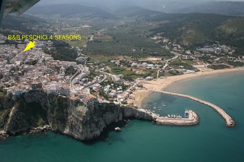 Property building, Bird's eye view