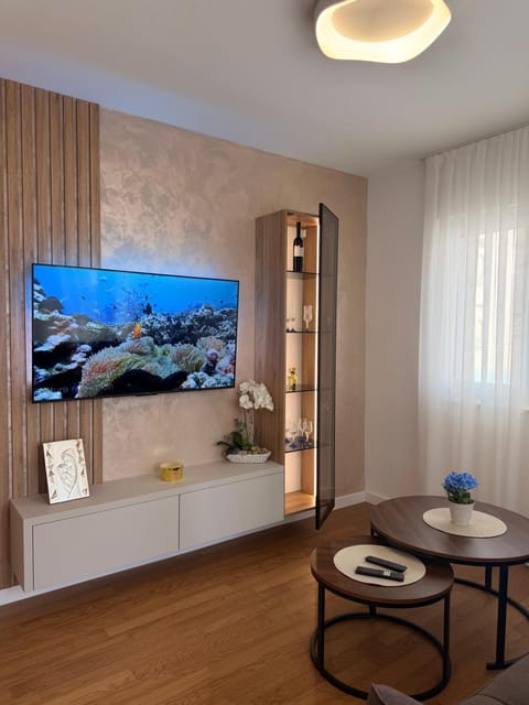 TV and multimedia