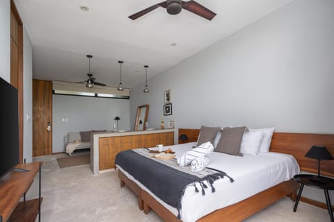 Bed, TV and multimedia, Living room, Photo of the whole room, Bedroom