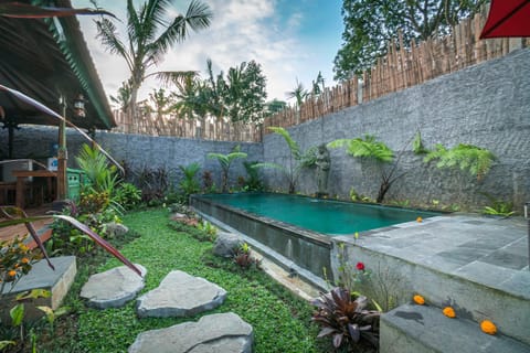 Garden, Pool view, Swimming pool
