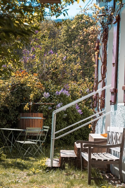 Natural landscape, Garden, Garden view