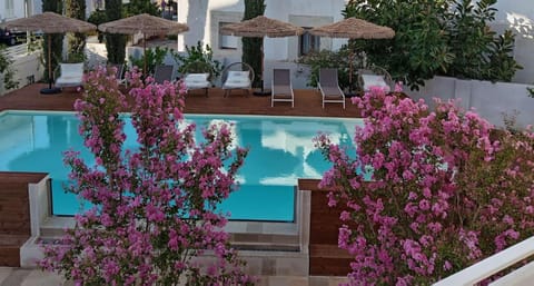 Day, Garden, Garden view, Pool view, Swimming pool, sunbed