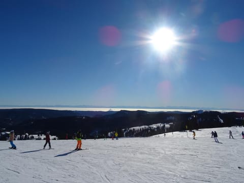 Day, People, Winter, Skiing