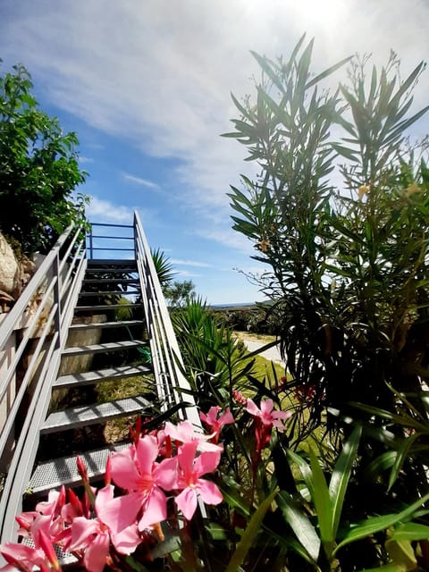 Sole&Sale Bed and Breakfast in Sardinia