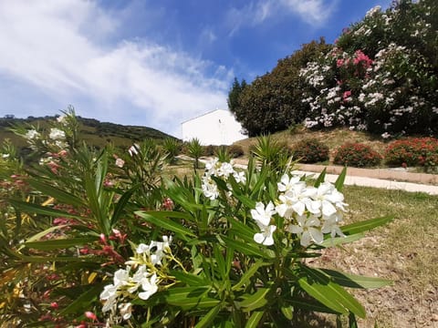 Sole&Sale Bed and Breakfast in Sardinia