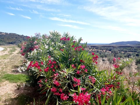 Sole&Sale Bed and Breakfast in Sardinia