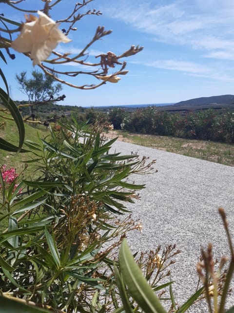 Sole&Sale Bed and Breakfast in Sardinia