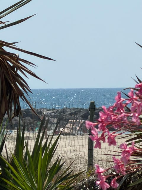 Natural landscape, Beach, Sea view