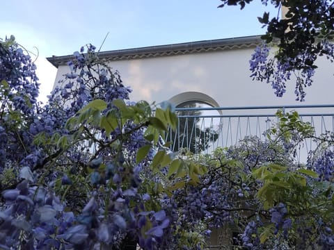 Garden, Balcony/Terrace