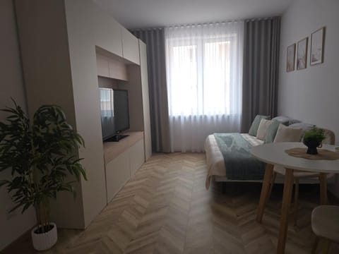 Bed, TV and multimedia, Living room