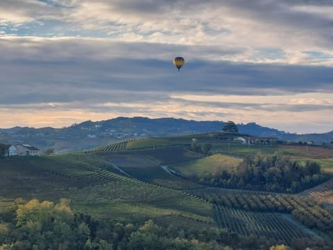 Natural landscape