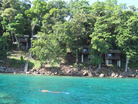 Garden, Snorkeling, On site, Guests, Sea view