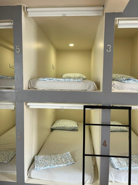 Bed, Photo of the whole room, bunk bed
