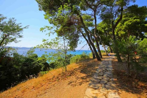 Lavender Suite Zadar Apartment in Zadar