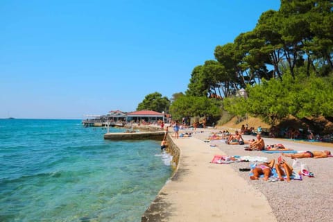 Lavender Suite Zadar Apartment in Zadar