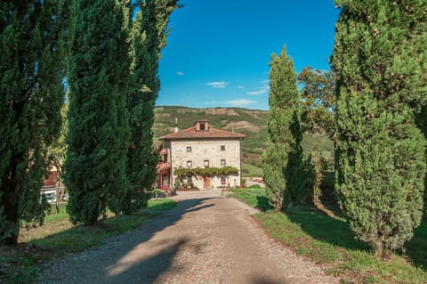 Property building, Day