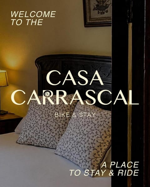 Bed, Logo/Certificate/Sign, Bedroom
