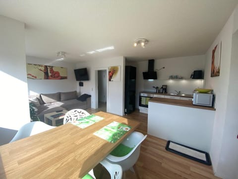 Kitchen or kitchenette, Living room, Seating area, Dining area, stove