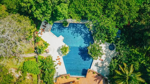 Natural landscape, Bird's eye view, Pool view, Swimming pool