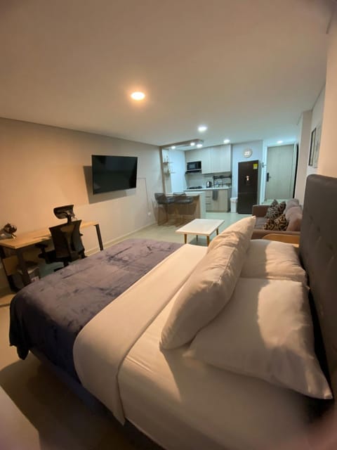 Bed, TV and multimedia, Living room, Photo of the whole room, Seating area, Bedroom