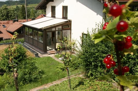 Property building, Garden view