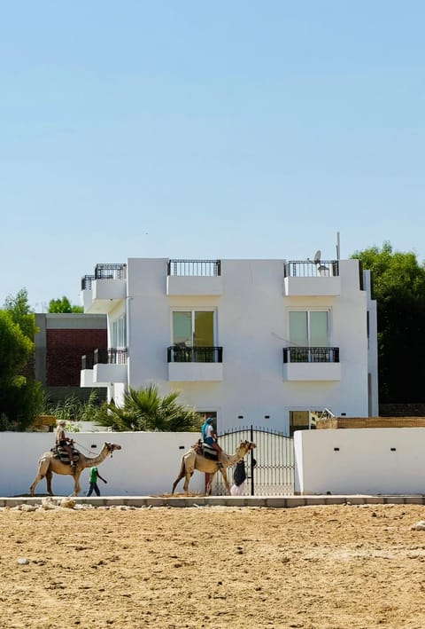 Property building, Day