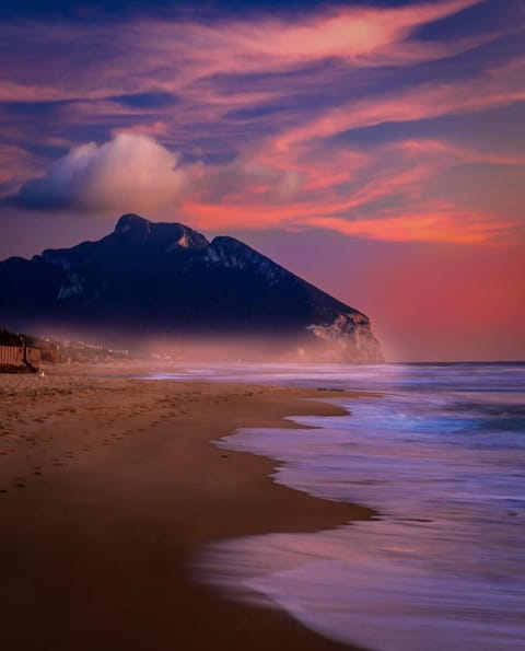 Natural landscape