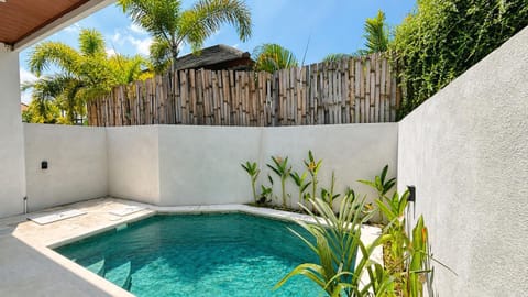 Day, Pool view, Swimming pool, Swimming pool