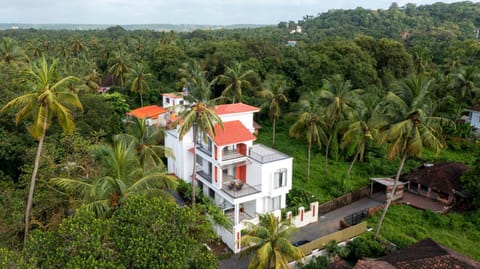 Property building, Natural landscape, Bird's eye view