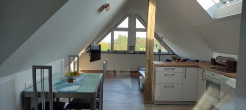 Kitchen or kitchenette, Photo of the whole room, Dining area