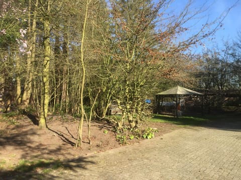 Natural landscape, Autumn