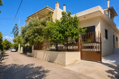 Day, Neighbourhood, Street view