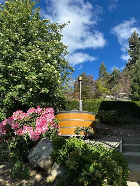 Day, Garden, Garden view