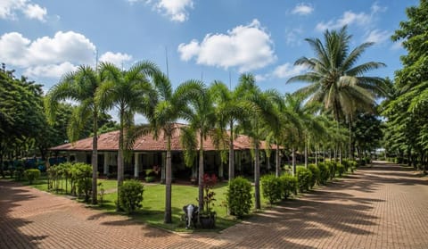 Property building, Garden, Garden view