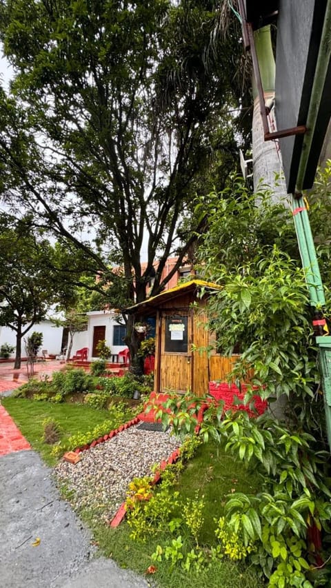 Property building, Natural landscape, Garden