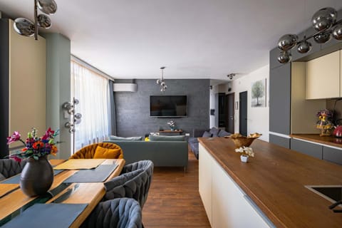 TV and multimedia, Kitchen or kitchenette, Living room, Seating area, Dining area