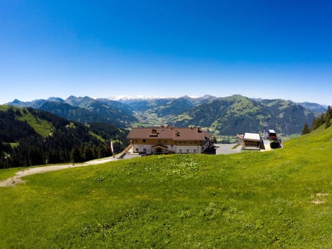 Property building, Summer