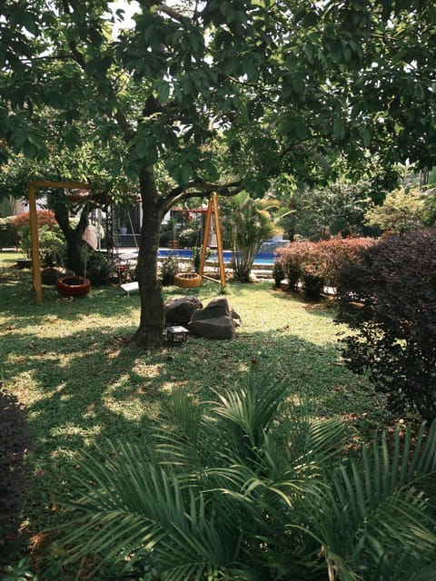 Children play ground