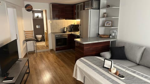 TV and multimedia, Coffee/tea facilities, Kitchen or kitchenette, Living room, Seating area, Dining area, minibar, oven, stove