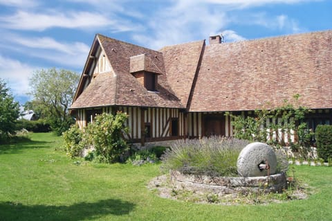 Property building, Garden view