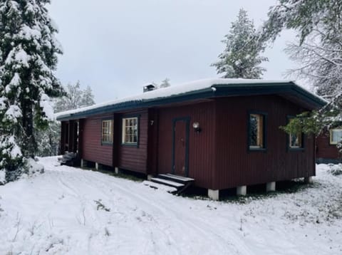 Property building, Day, Winter