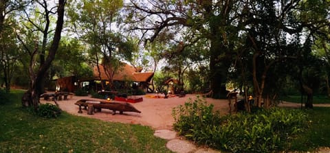 Garden view