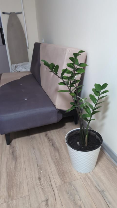 Communal lounge/ TV room, Seating area