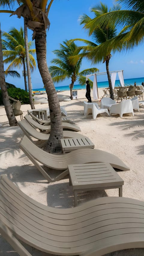 Restaurant/places to eat, Day, Natural landscape, Beach, sunbed