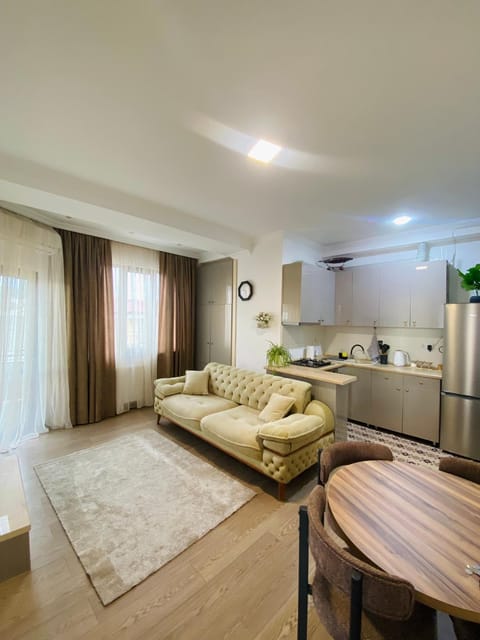 Kitchen or kitchenette, Living room, Seating area, Dining area, oven